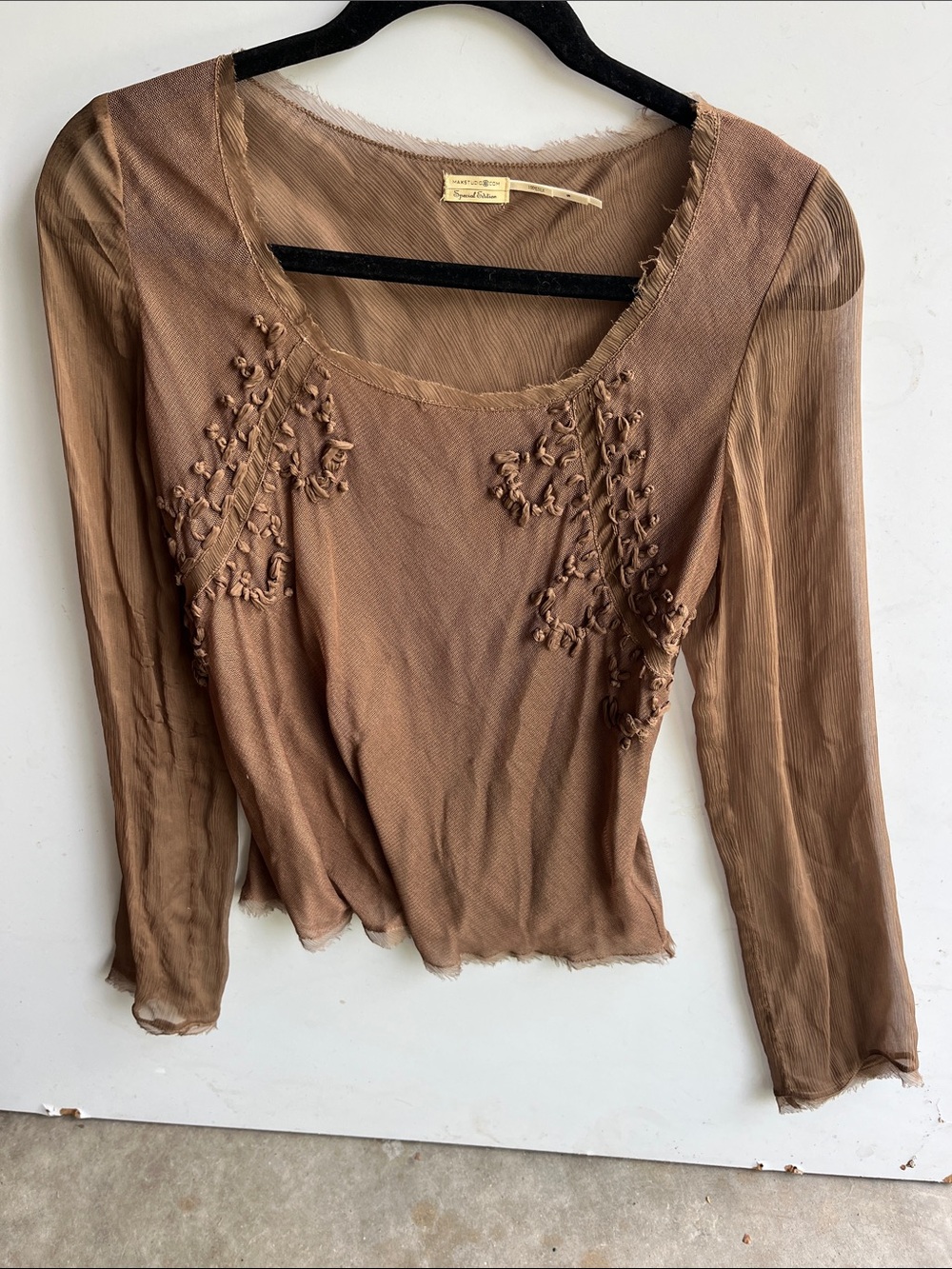Max Studio Sheer Embroidered silk Long-Sleeve Top